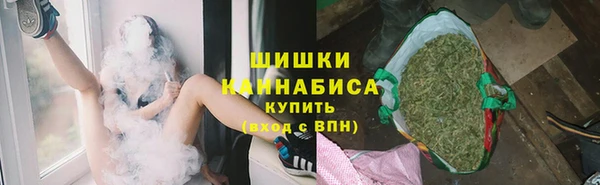 дживик Бородино