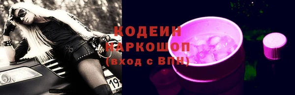 дживик Бородино