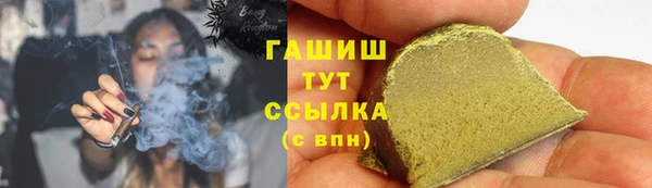дживик Бородино