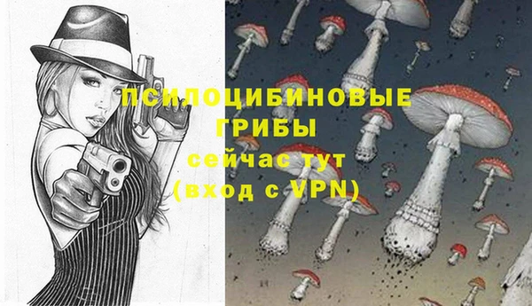 дживик Бородино
