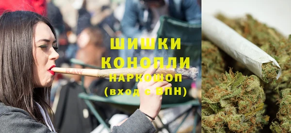 дживик Бородино
