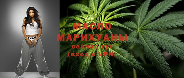дживик Бородино