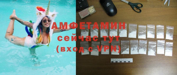 дживик Бородино