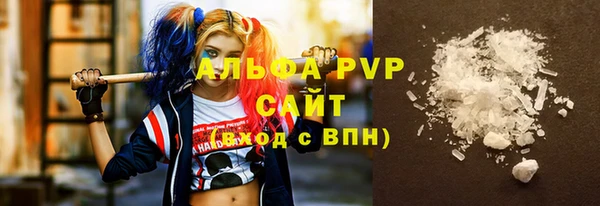 дживик Бородино