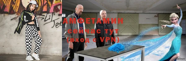 дживик Бородино