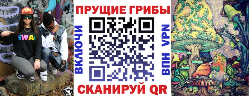MEGA вход  сайты даркнета какой сайт  Псилоцибиновые грибы Psilocybine cubensis  Кизел 